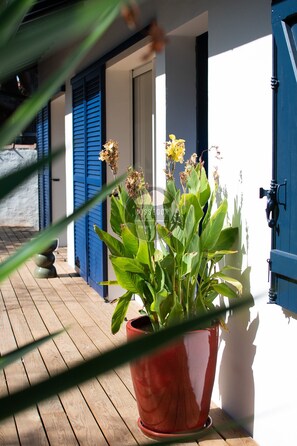 A potted plant on a wooden deck with a building in the background. - Villa Goxoki - Capbreton - City Center - Garden (Capbreton)
