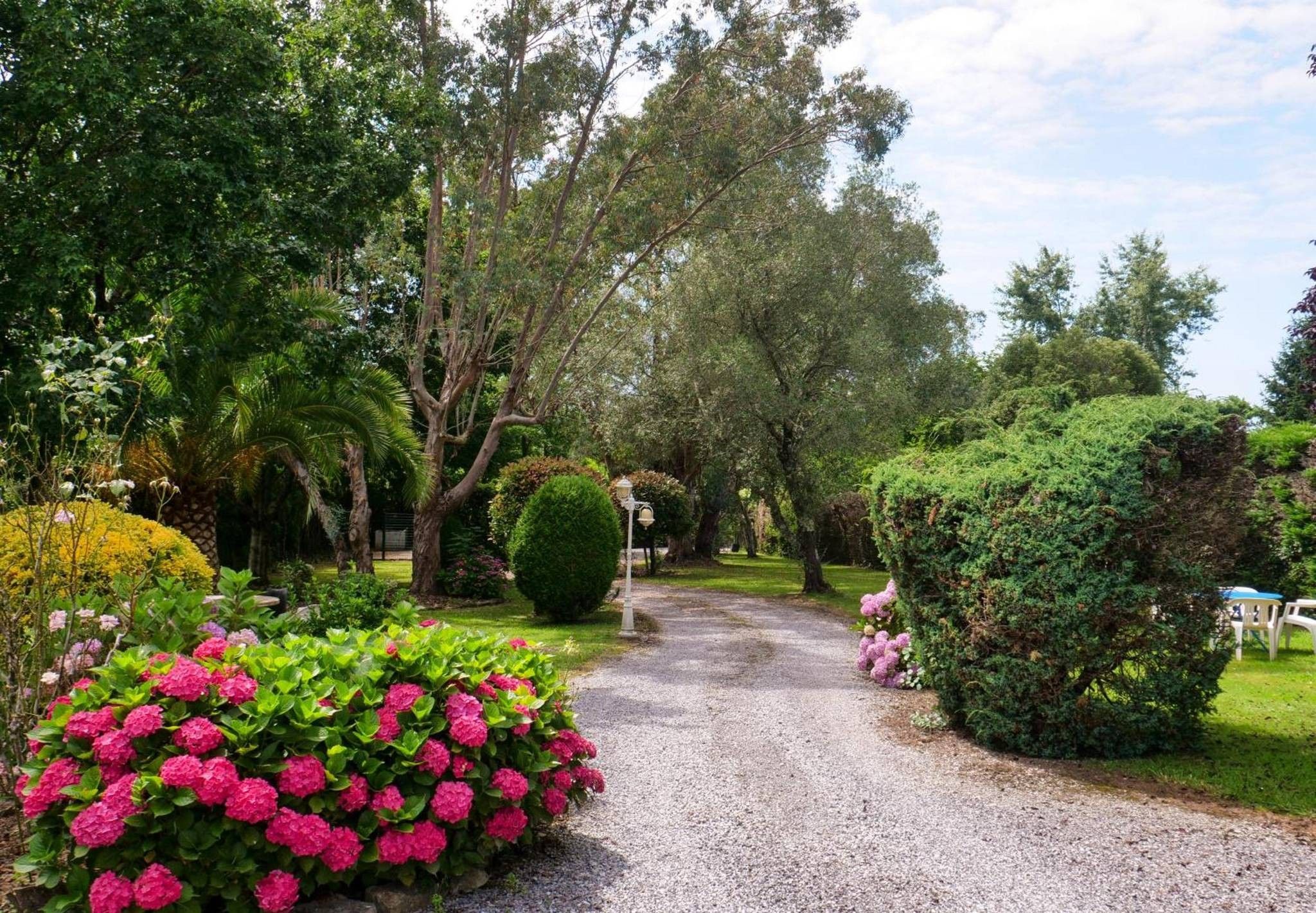 Un chemin de gravier dans un jardin où l’on trouve différentes plantes et différents arbres.