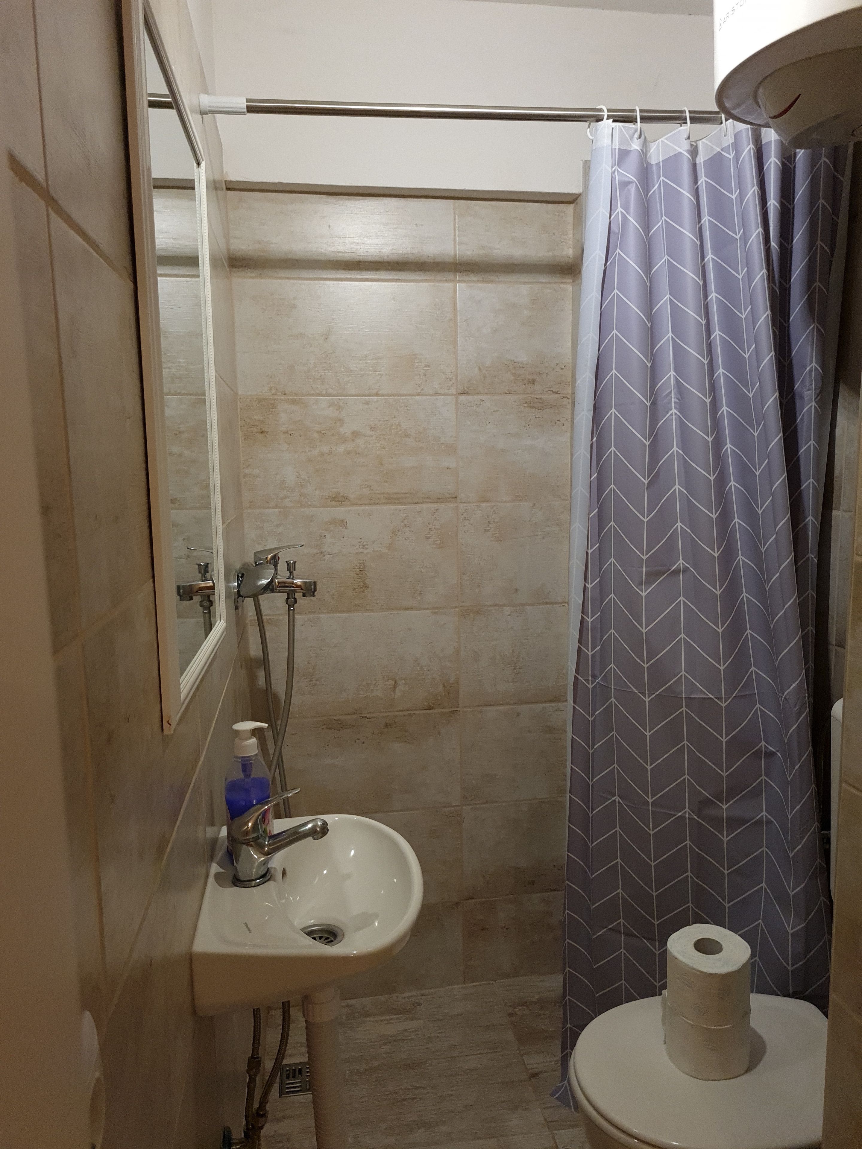 A bathroom with a shower, a sink with a mirror, and a toilet.