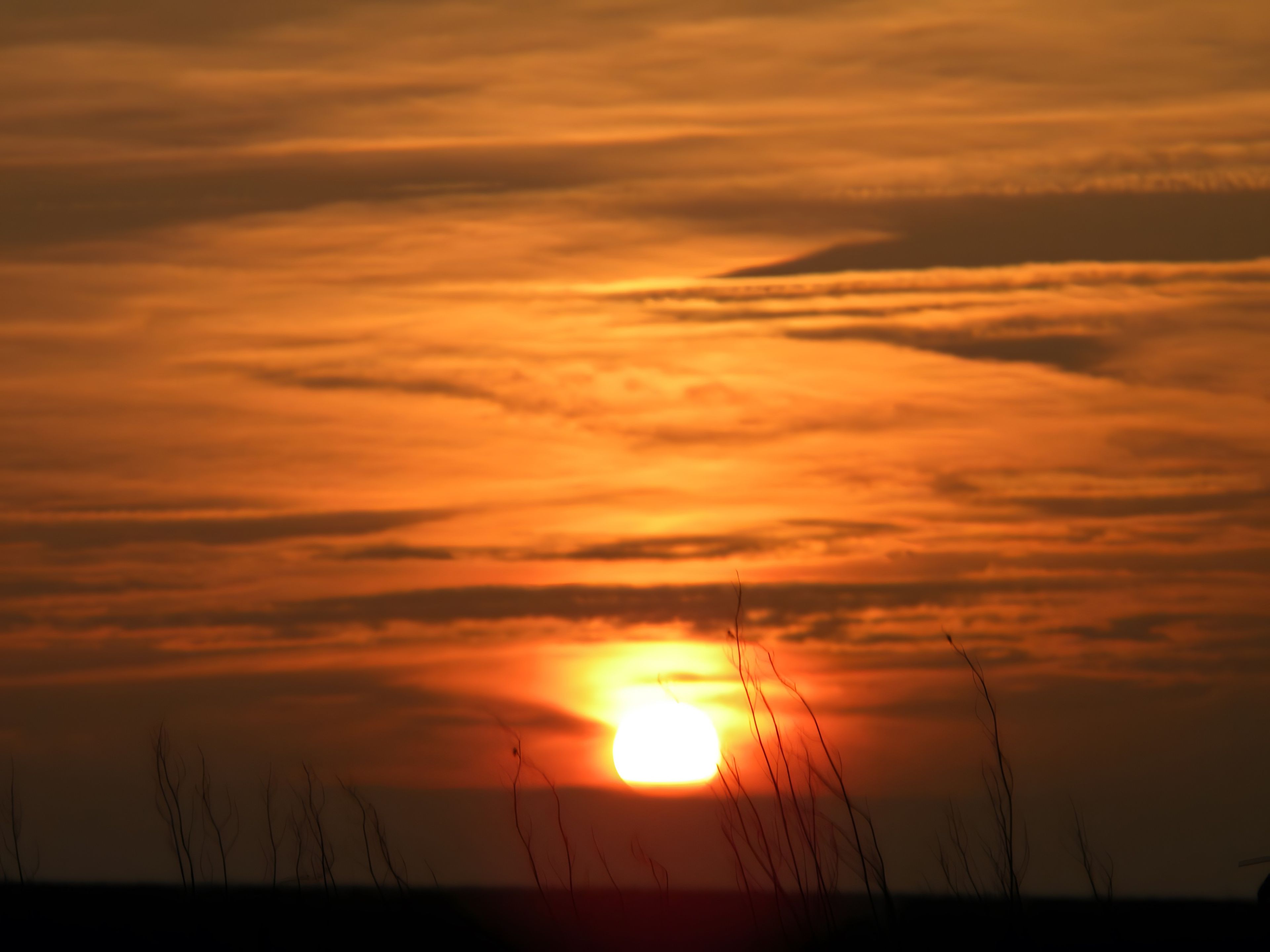 A sunset with the sun partially obscured by clouds, silhouetted trees in the foreground, and a flat horizon.