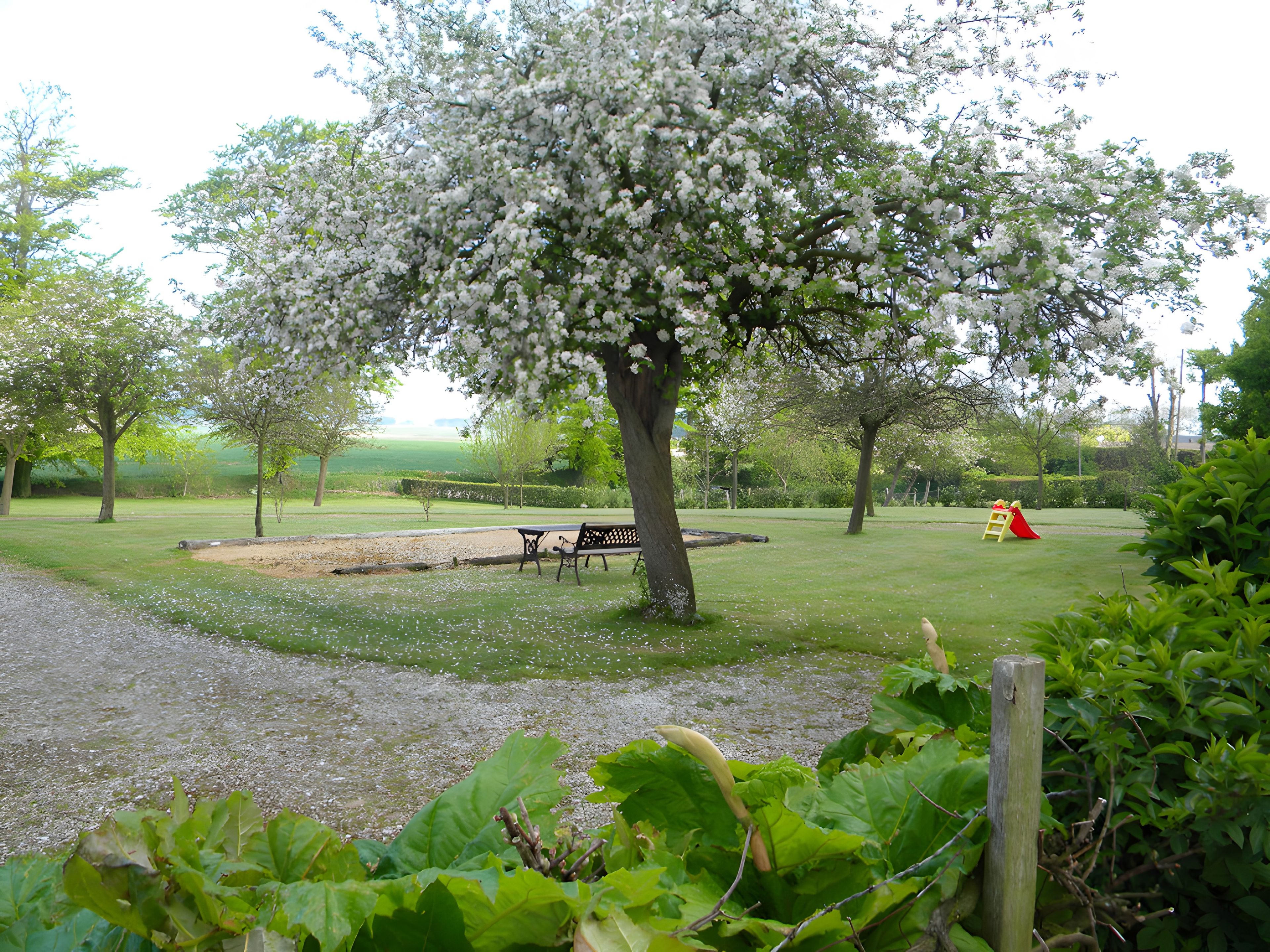 A park with a bench, a tree with white blossoms, and a red play structure.