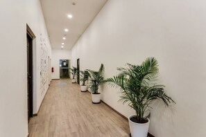 A hallway with wooden flooring, white walls, and potted plants. - Townhouse Gandhi Hall (Indore)