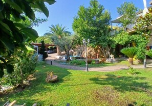 A well-maintained garden with various plants and a paved walkway.