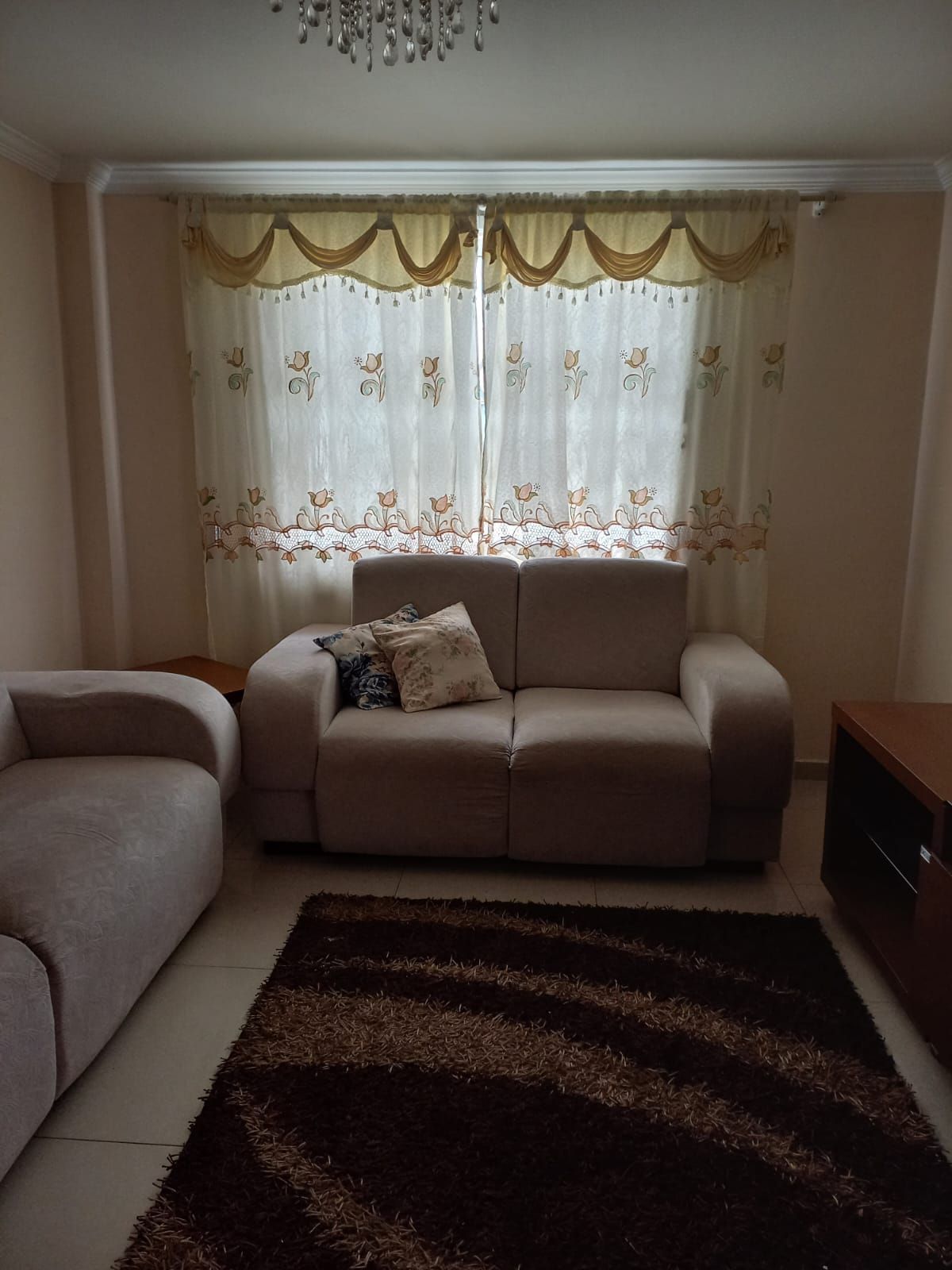 A living room with a sofa, a rug, and curtains.