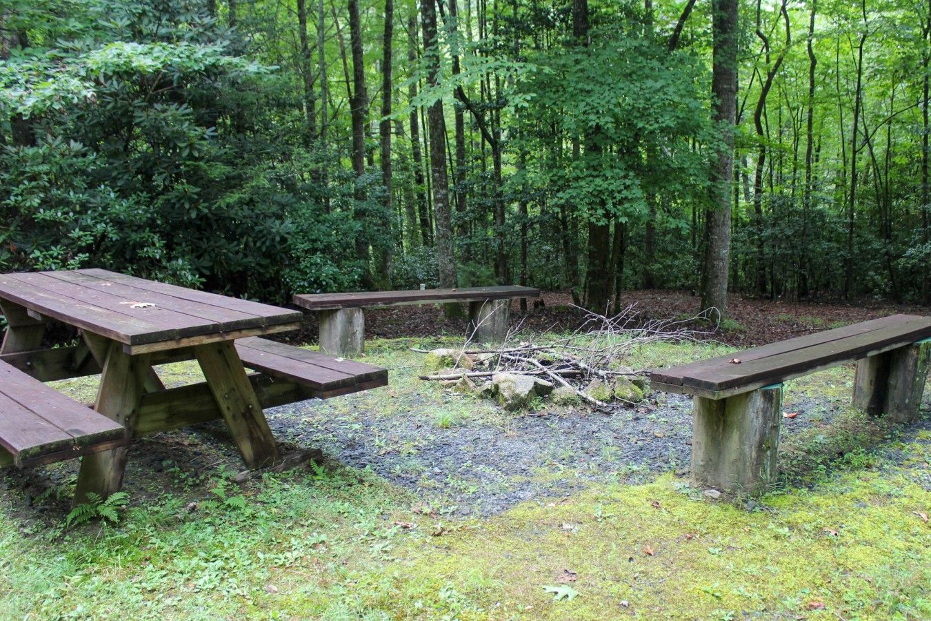 A forested campsite with picnic tables and a fire pit.