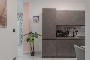 A modern kitchen with grey cabinets, a countertop, and a stove. There is a potted plant and a painting on the wall. - Maison Tresor by Wonderful Italy (Turin)
