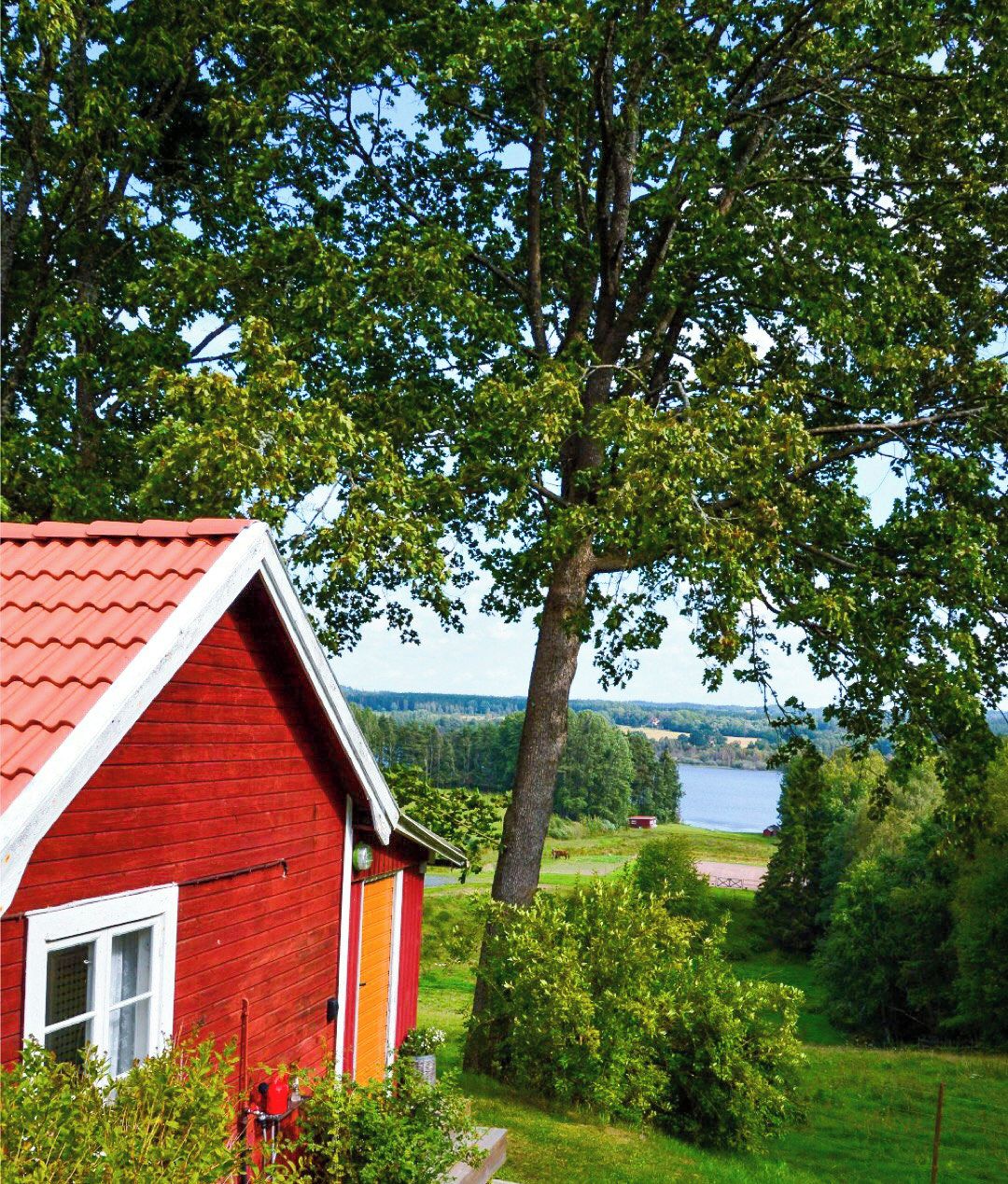 Eksteriør