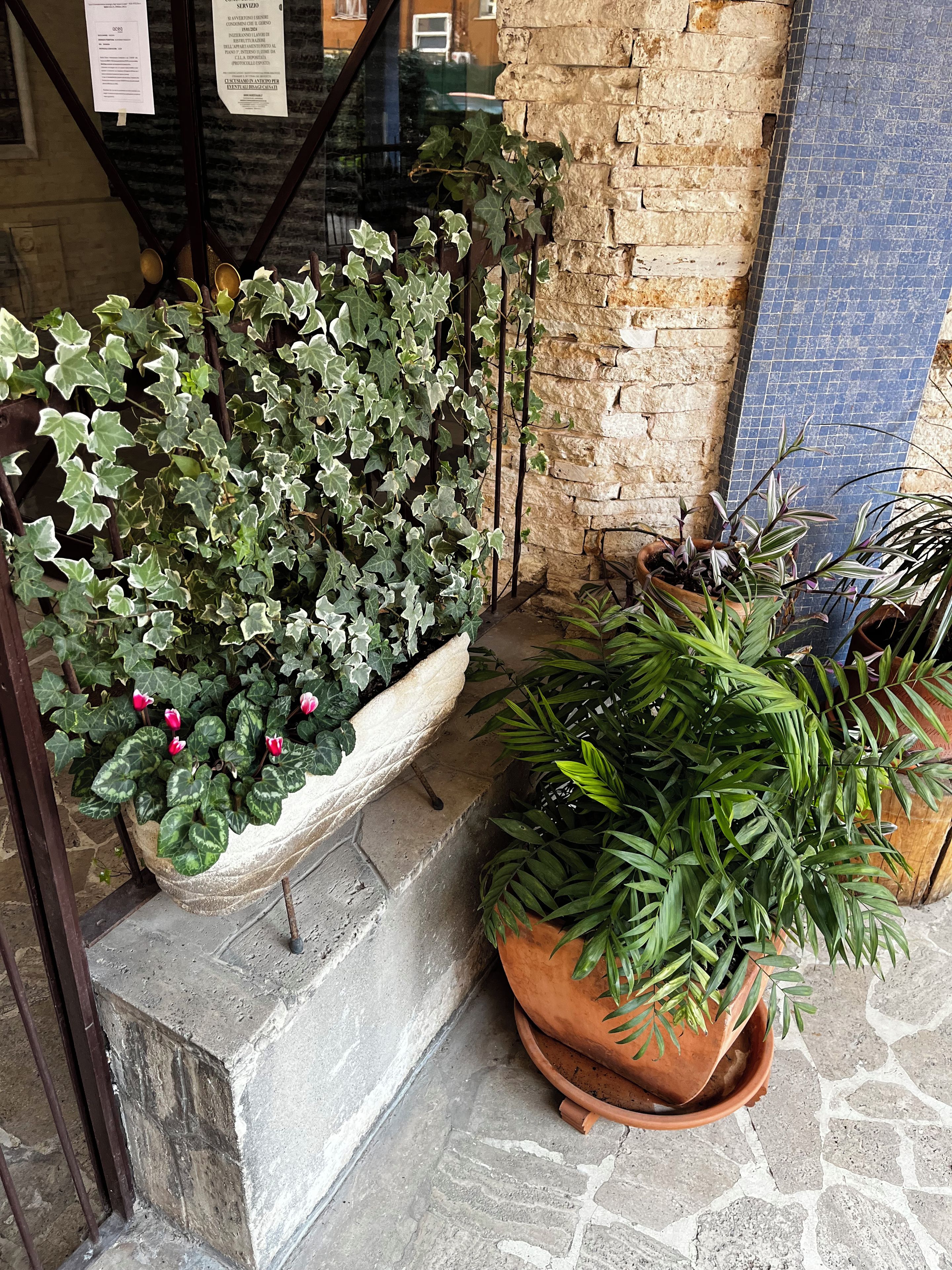 Escada com vasos de plantas, parede de pedra e um trecho revestido em azulejos azuis.