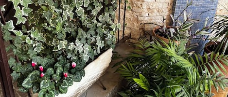 Escada com vasos de plantas, parede de pedra e um trecho revestido em azulejos azuis.