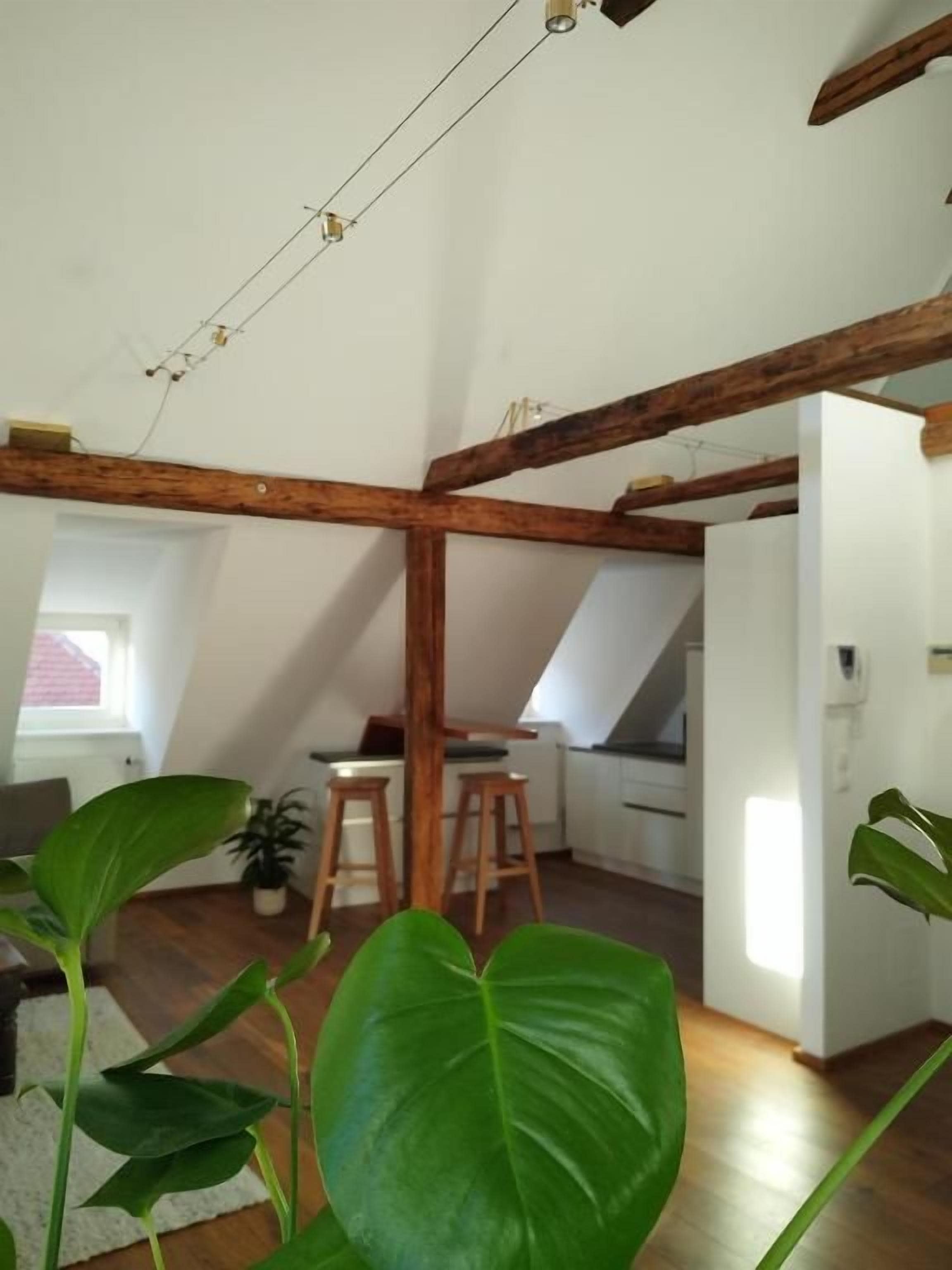 Quarto com teto inclinado, vigas de madeira, área de refeições com banquetas e um vaso de planta.