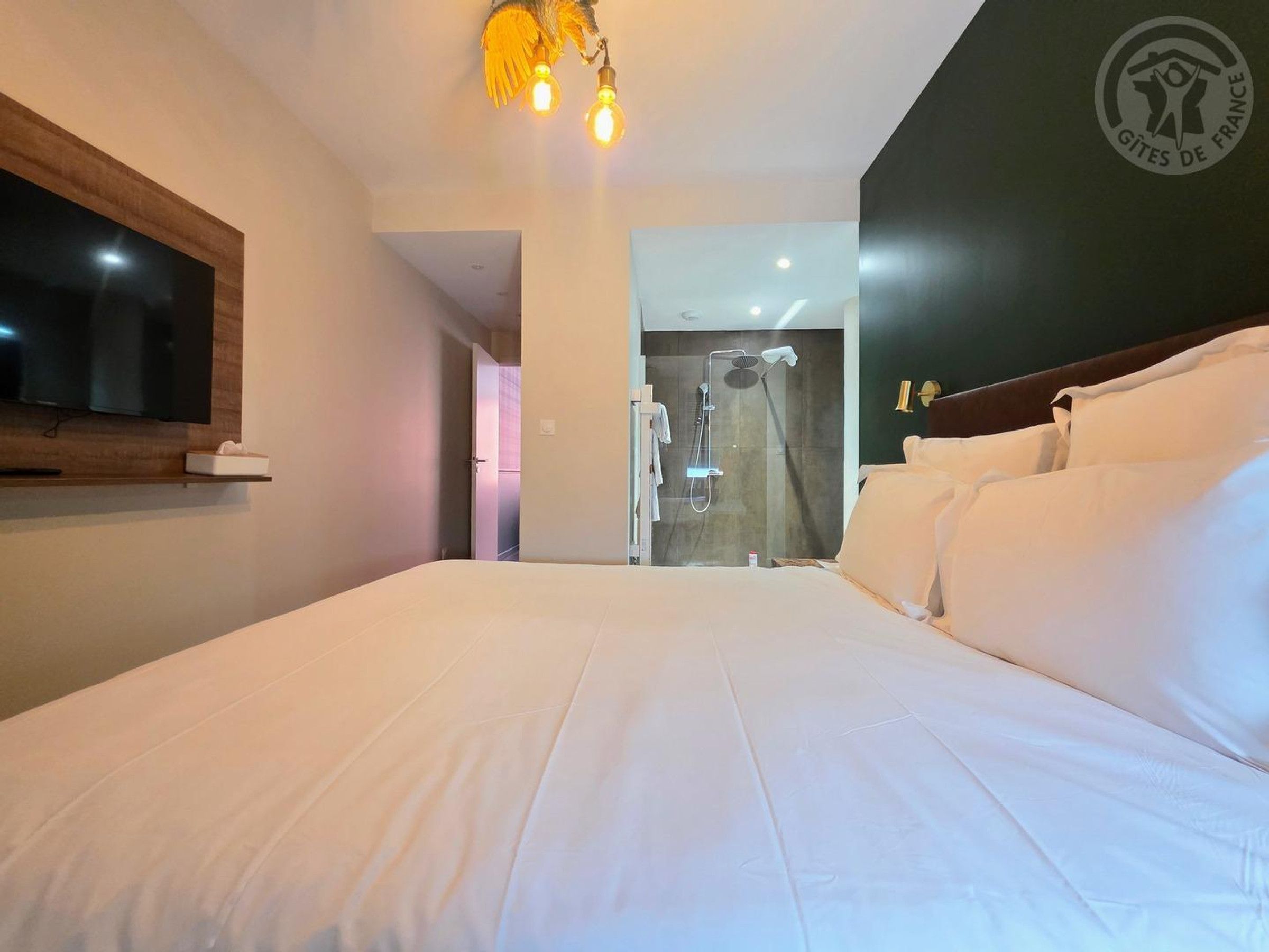 A hotel room with a bed, a television mounted on the wall, a shower area, and a logo on the wall.