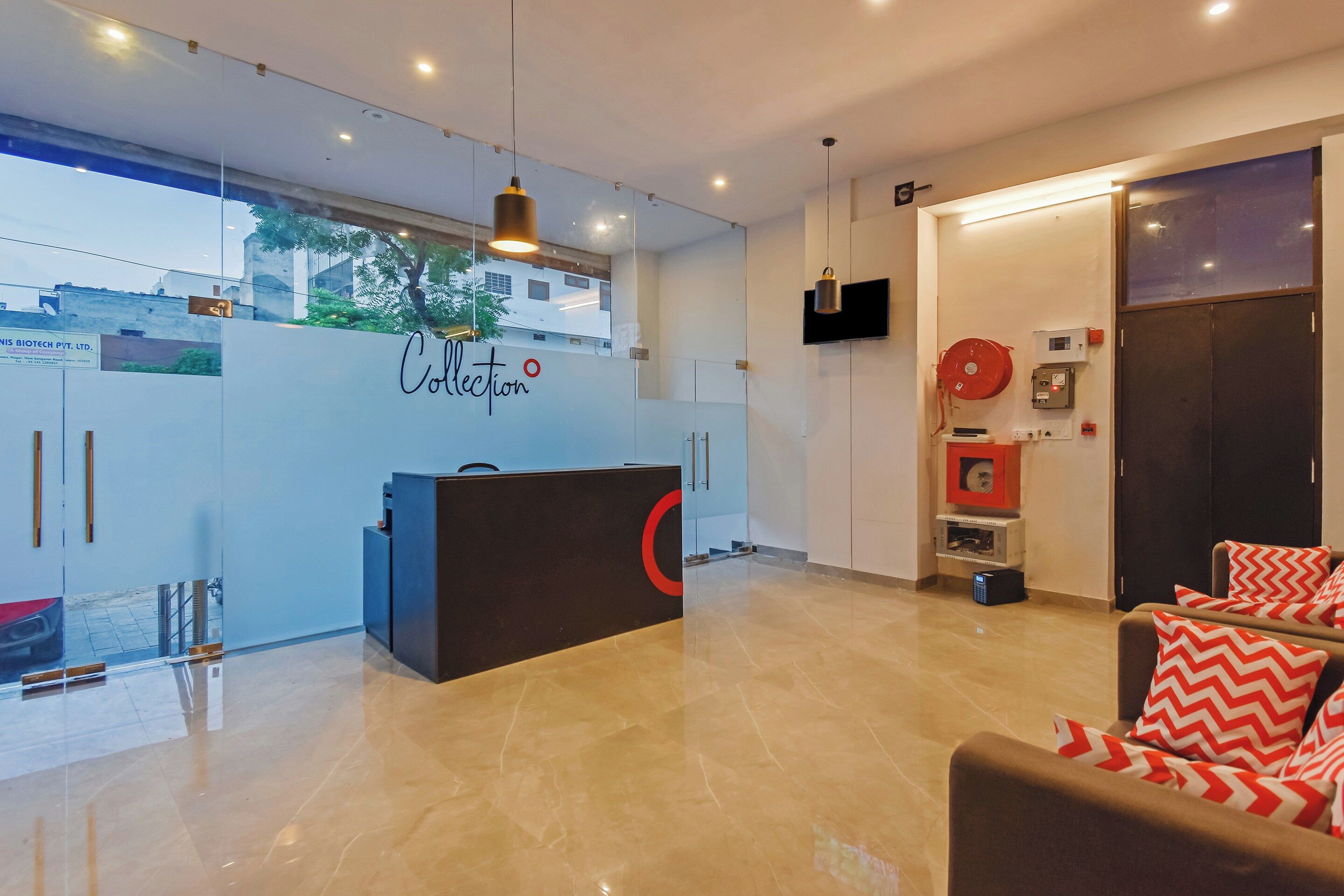 A modern reception area with a glass wall, a reception desk, and a seating area with patterned cushions.