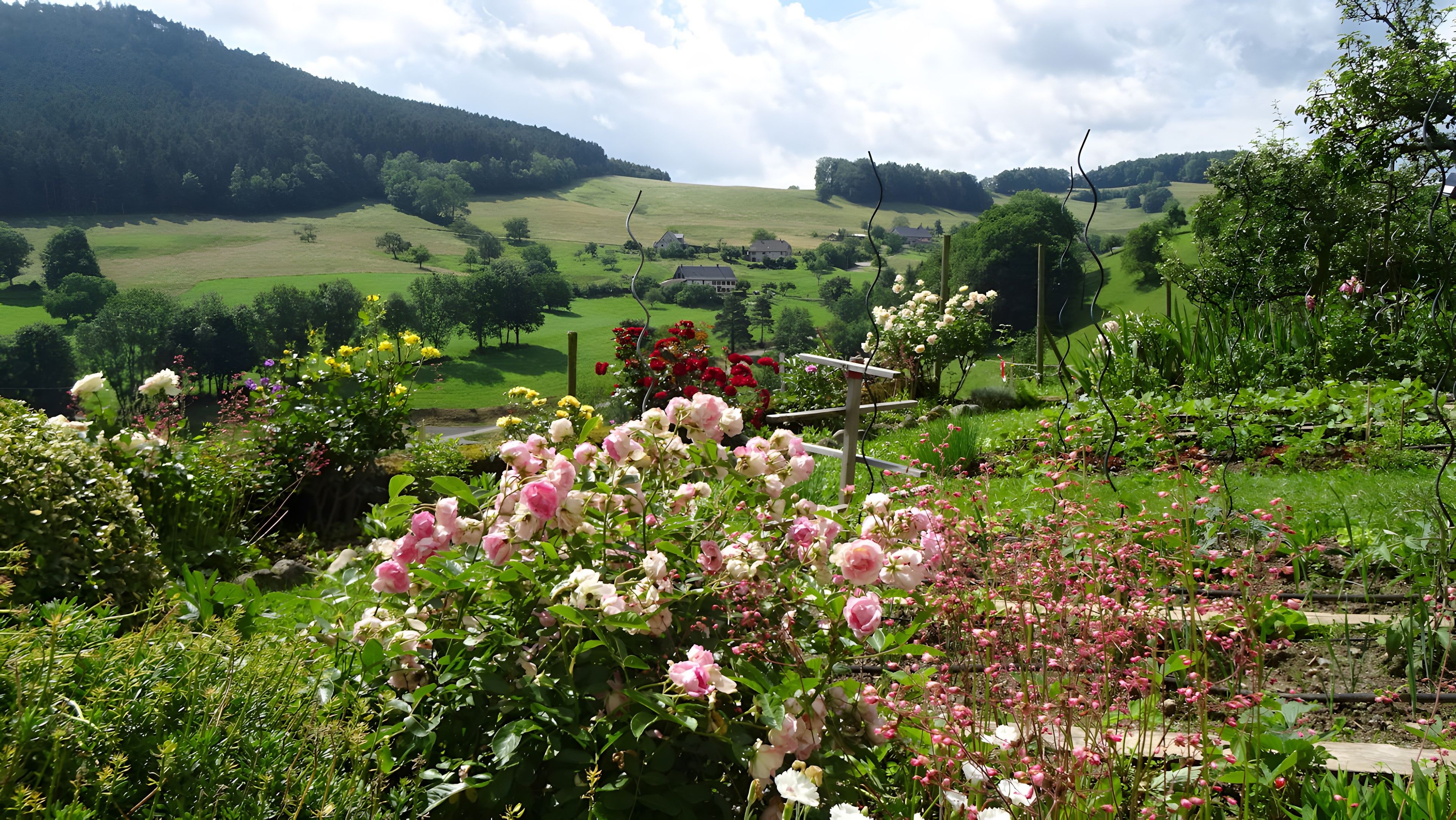 Un paysage rural caractérisé par des collines douces, une grande variété de plantes en fleurs et un ciel dégagé.