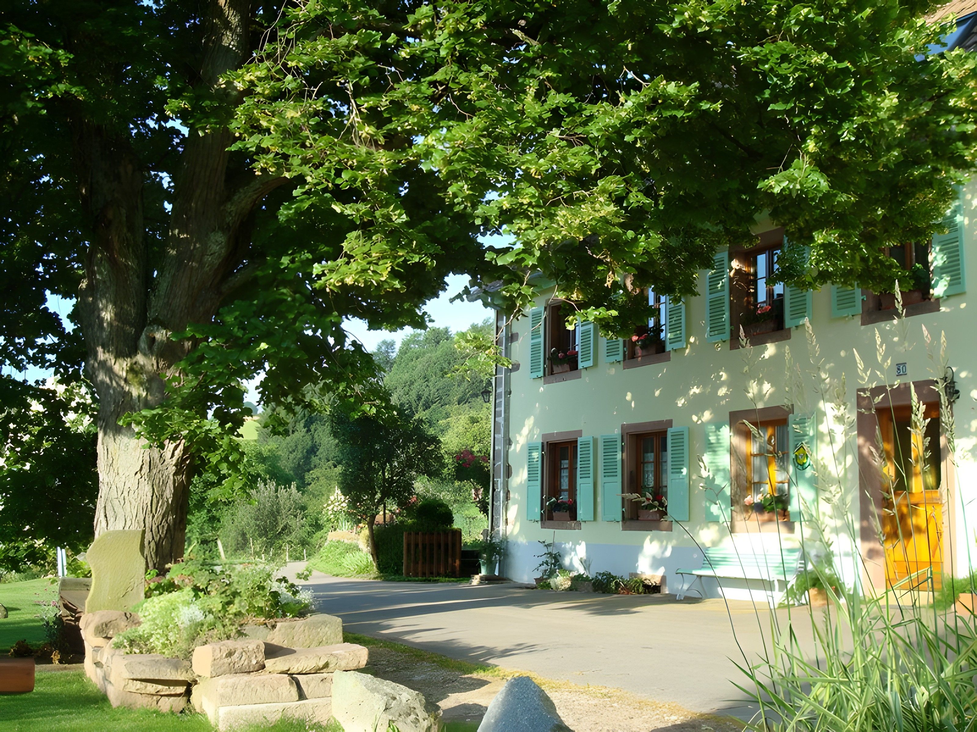 Un bâtiment à deux étages, avec un grand arbre devant, une allée pavée et un mur en pierre.
