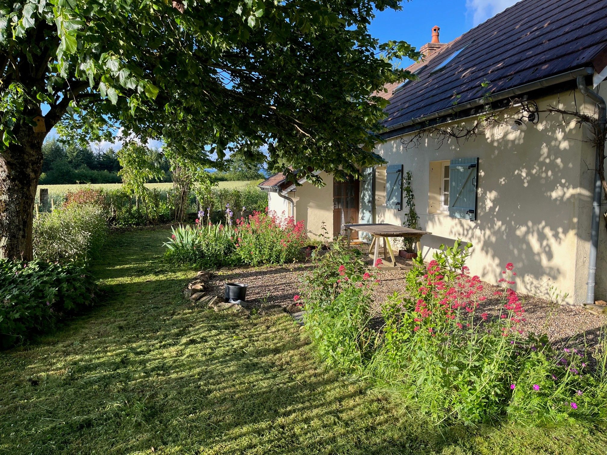 Een huis met een tuin, een bank en een boom.