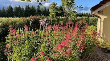 Een tuin met weelderige begroeiing en bloeiende planten.