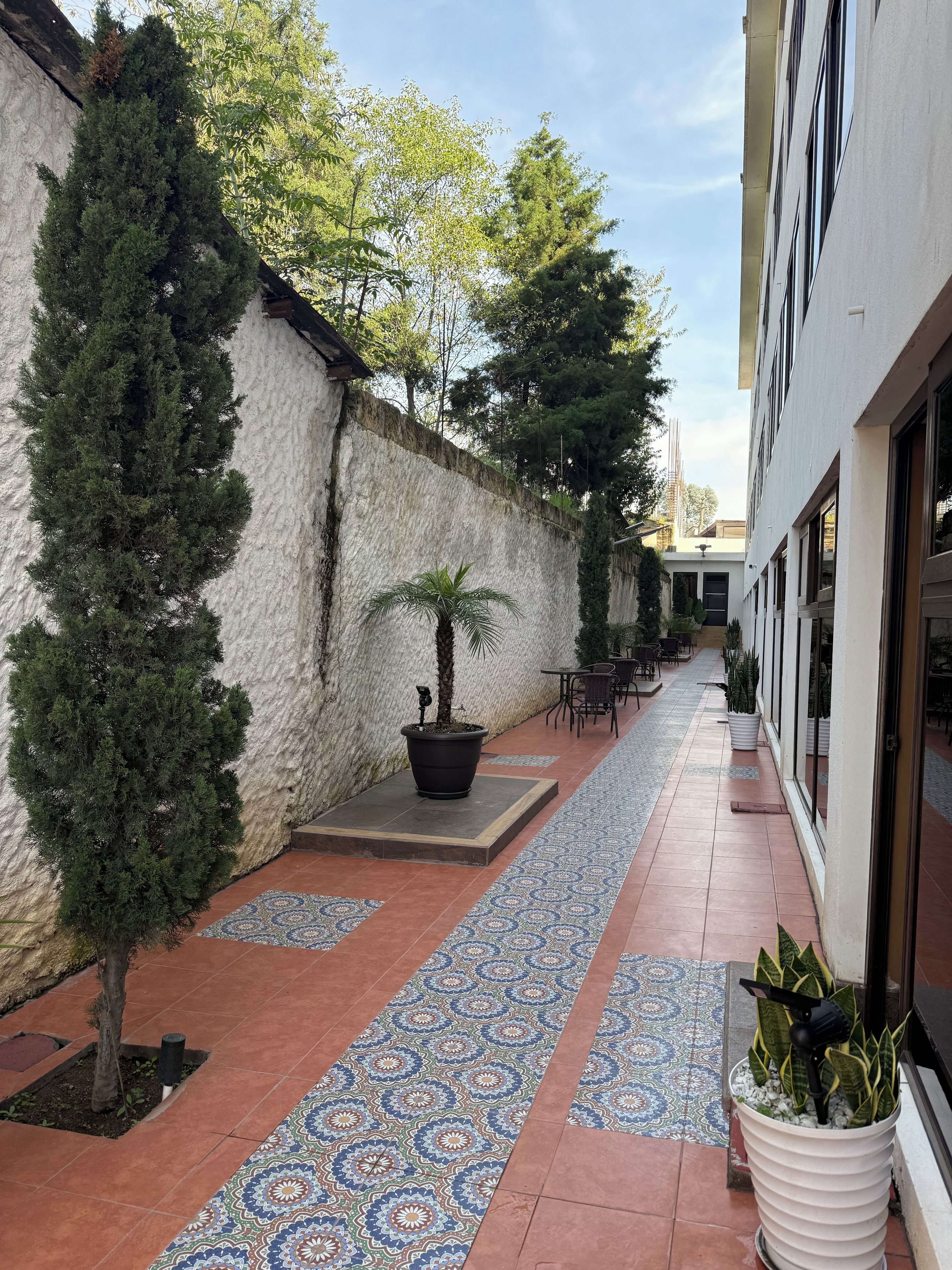 Un patio al aire libre con un camino empedrado, plantas en macetas y mobiliario exterior.