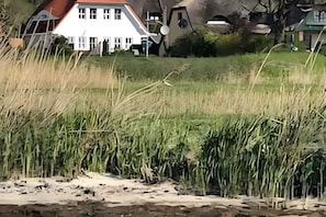 Ein Wohngebiet mit einem Haus und einem Feld mit hohem Gras.