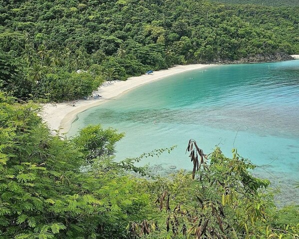En tropisk strand med frodig vegetation og et klart turkis hav.