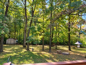 A wooded area with a small shed, a bench, and a lamp post. - Wooded Acre Retreat near Wright-Patt w/ Game Room (Xenia)