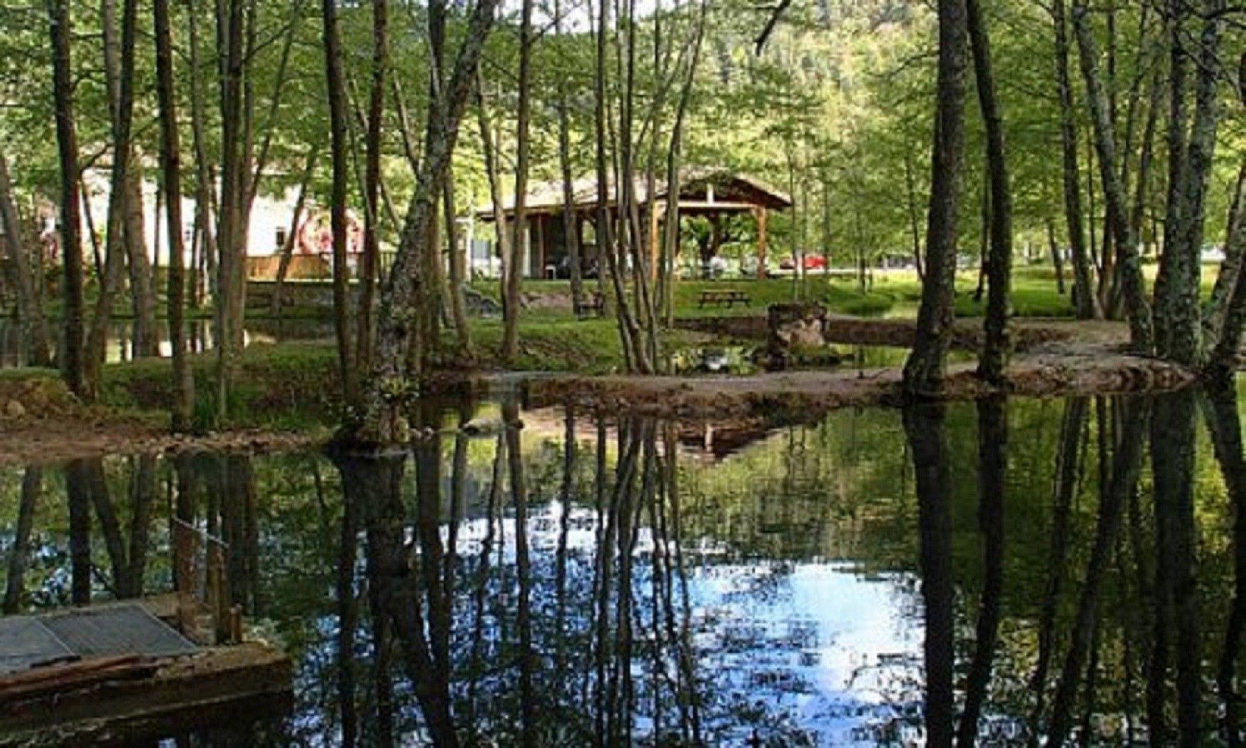 A tranquil lakeside setting with a wooden dock, surrounded by dense trees and a small wooden structure.