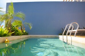 Une piscine à l’eau d’un bleu limpide, entourée d’une végétation luxuriante et bordée d’un mur bleu.