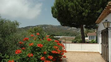 Un jardin avec des fleurs rouges et un grand arbre.