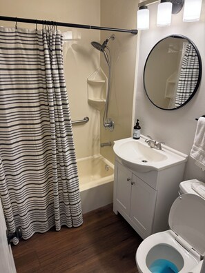 Une salle de bain équipée d’une douche, de toilettes, d’un lavabo et d’un miroir.