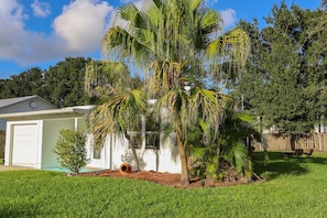 Ein Wohnhaus mit gepflegtem Rasen, einer Palme, einer kleinen Gartenhütte und einem Holzzaun.