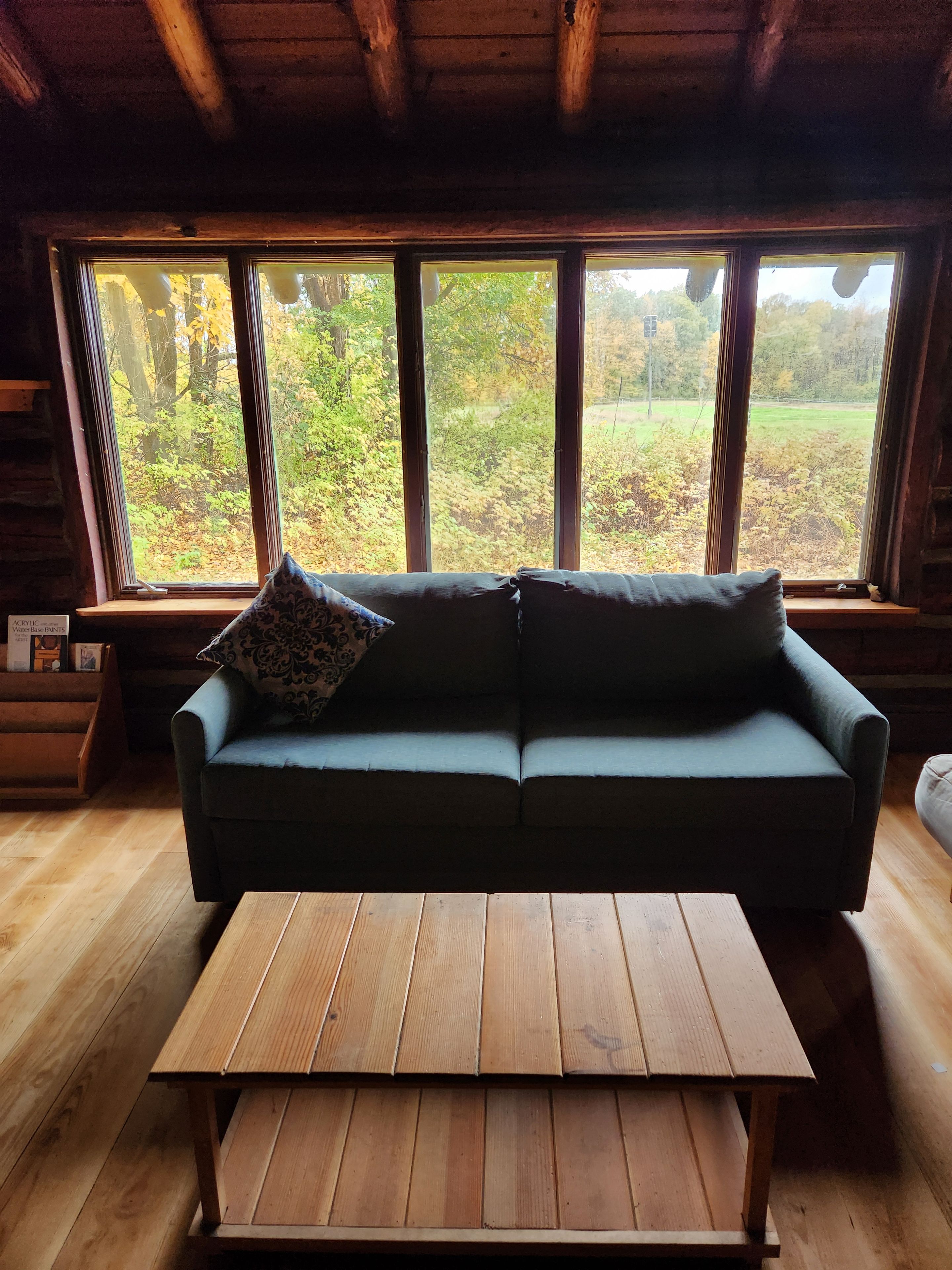A wooden interior with a green sofa and a wooden table, large windows with a view of trees.