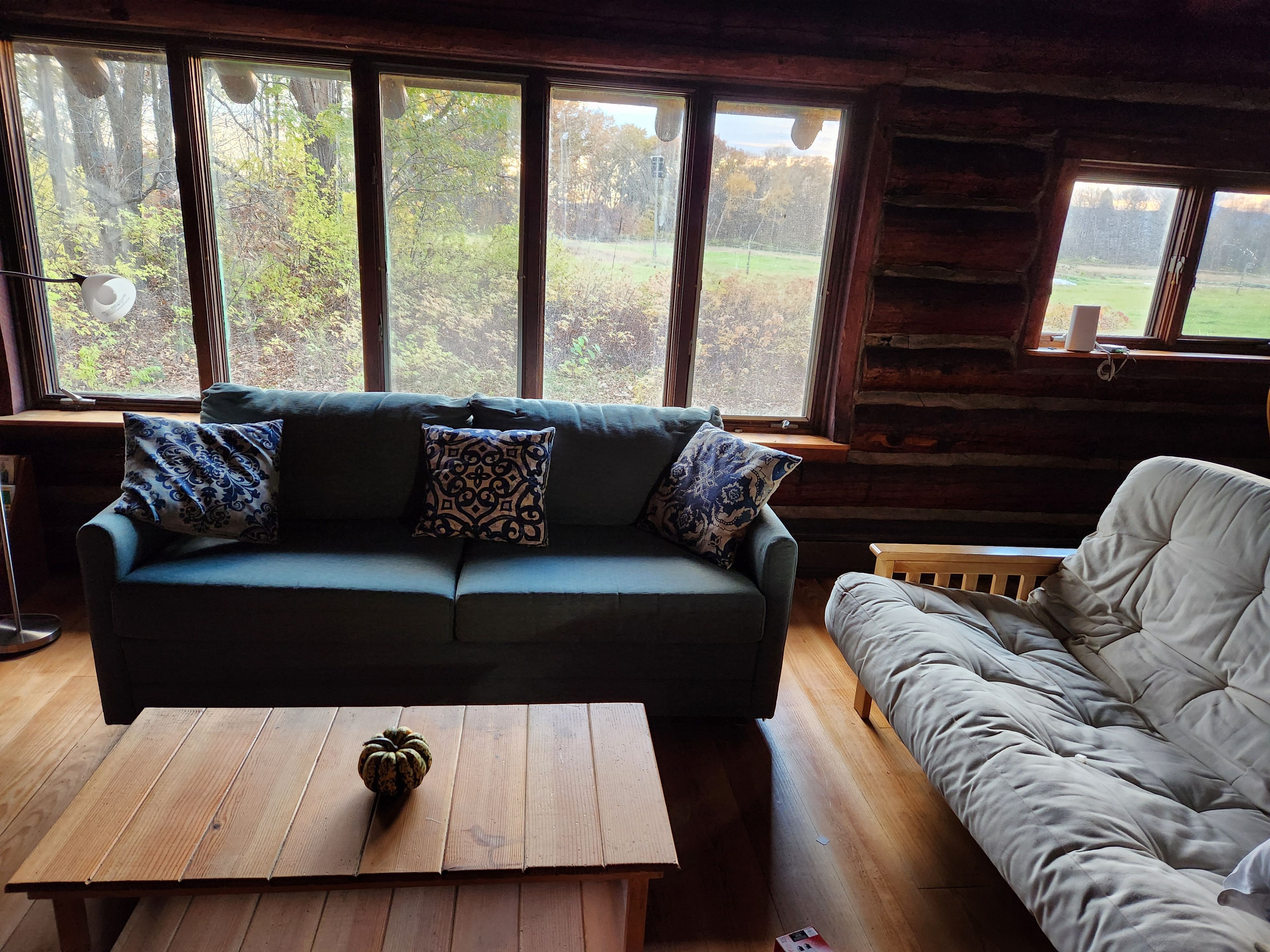 Un interior acogedor de cabaña con un sofá verde, un sofá blanco y una mesa de madera.