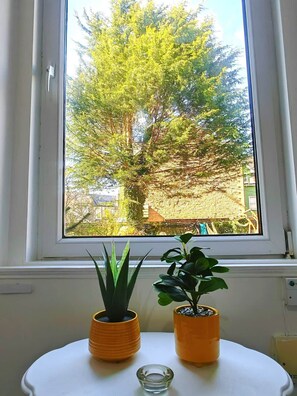 Finestra amb vistes a un arbre i dues plantes en testos sobre una taula blanca.