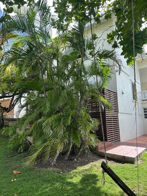 A lush green palm tree in a garden area with a white building in the background. - Atlantic Shores - 1 Bedroom Apartment (Christ Church)