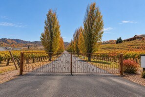 Viñedo con entrada portonada, hileras de vides y cielo despejado.
