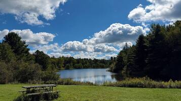 A picnic table in a grassy field with a lake and trees in the background.