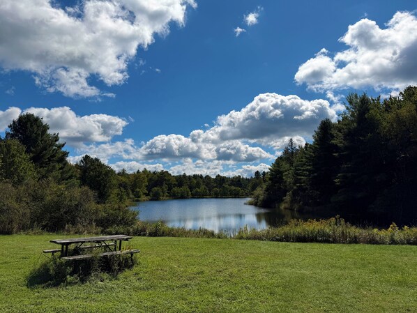 A picnic table in a grassy field with a lake and trees in the background.
