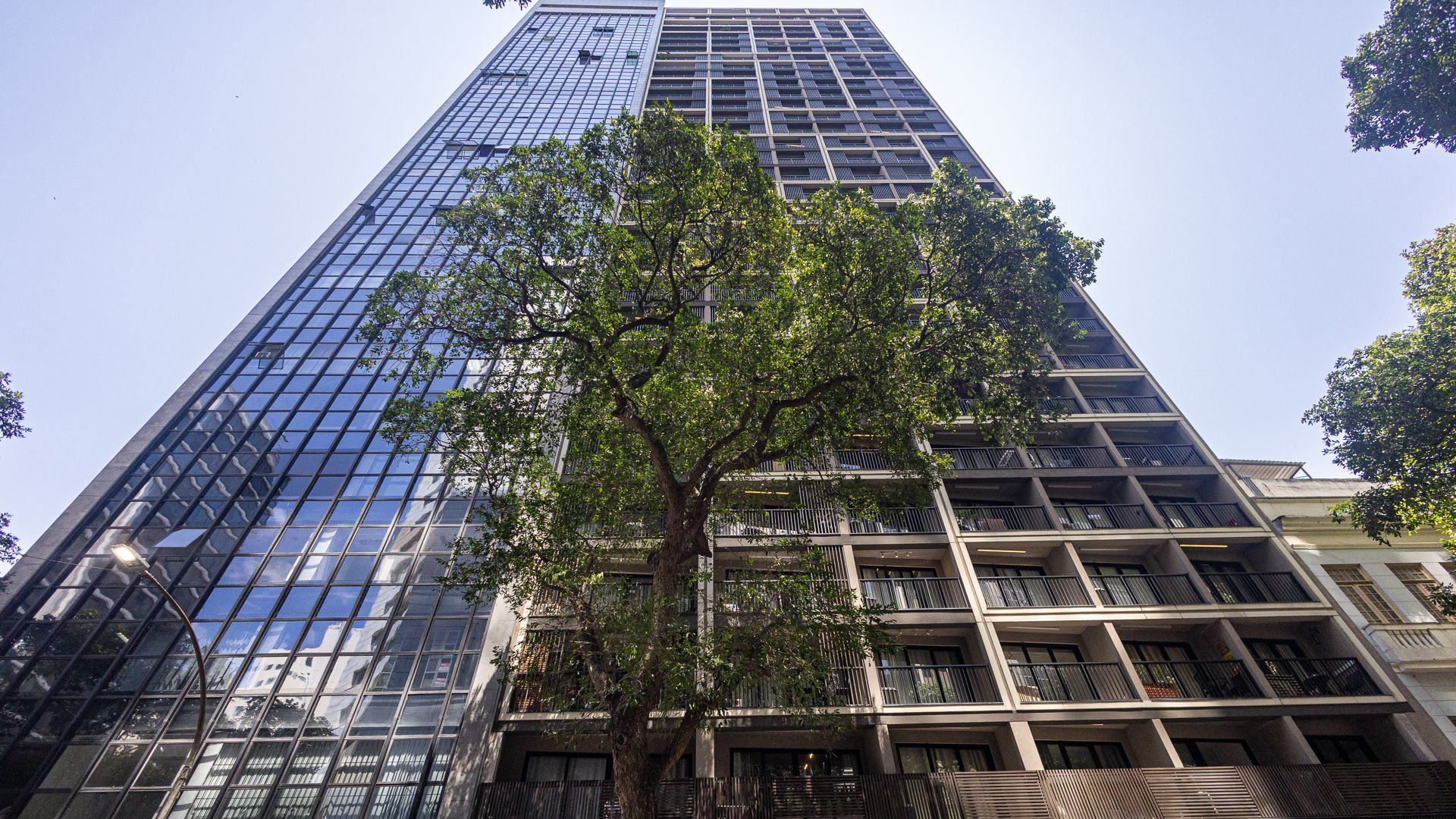 A tall building with a glass facade and a tree in the foreground.