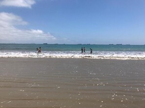 A beach with people in the water and ships in the distance. - BlackPoint (BALLENITA)
