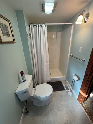 A bathroom with a toilet, shower, and a towel rack. - Cozy Ski Mountain House (Wardsboro)