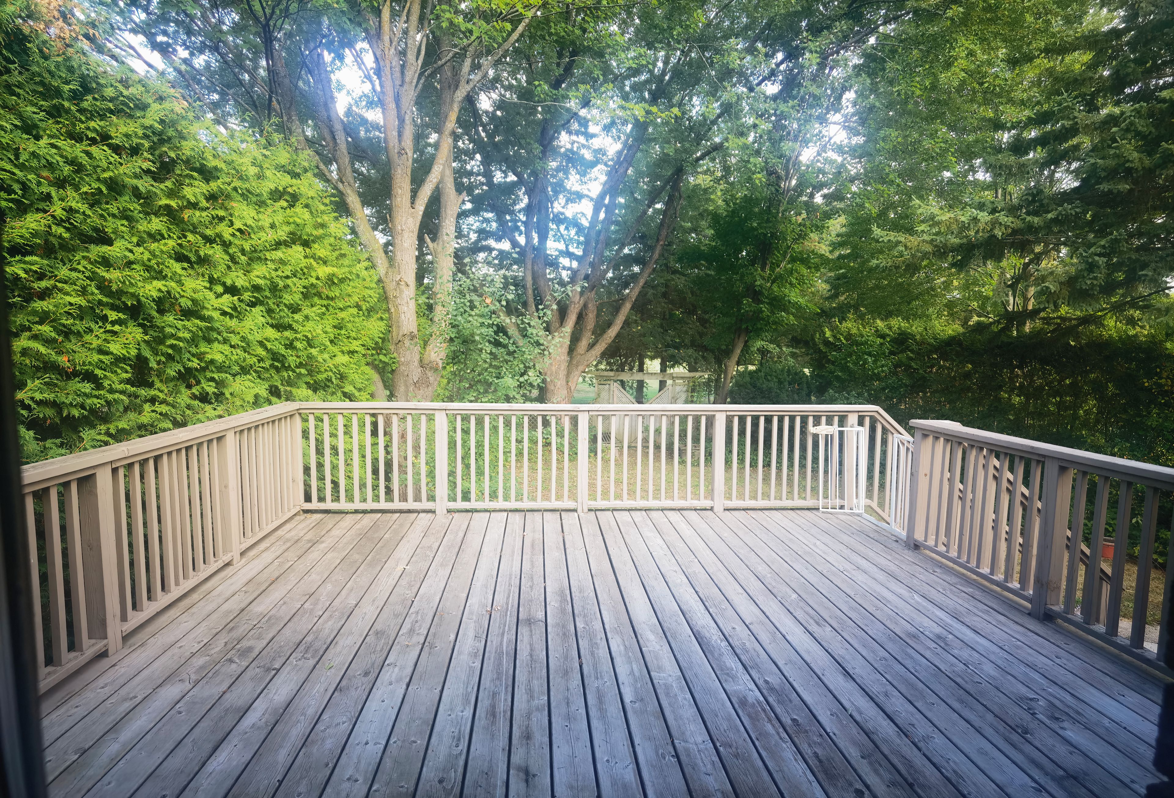 A wooden deck with railings, surrounded by dense green foliage and trees.
