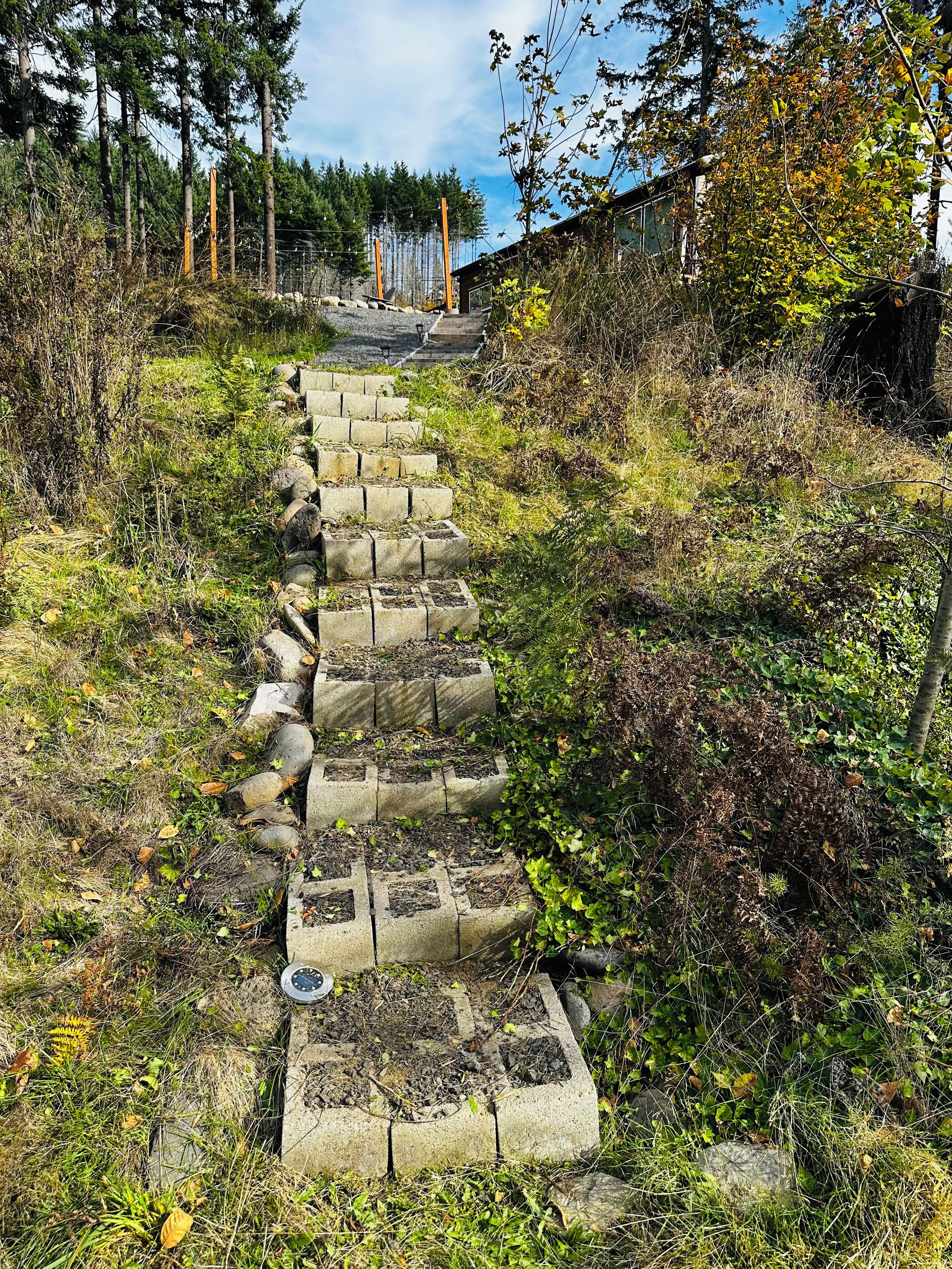 A concrete pathway ascending a slope, surrounded by vegetation and trees.