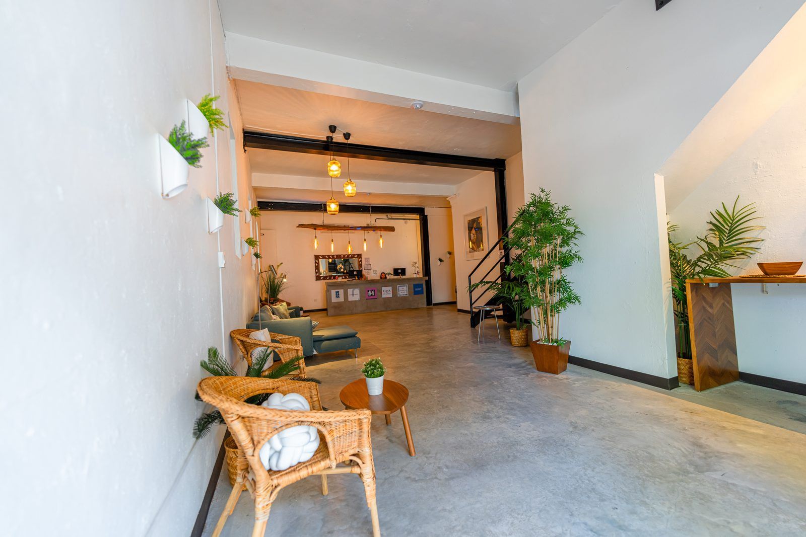 A hotel lobby with wicker furniture, a reception desk, and potted plants.
