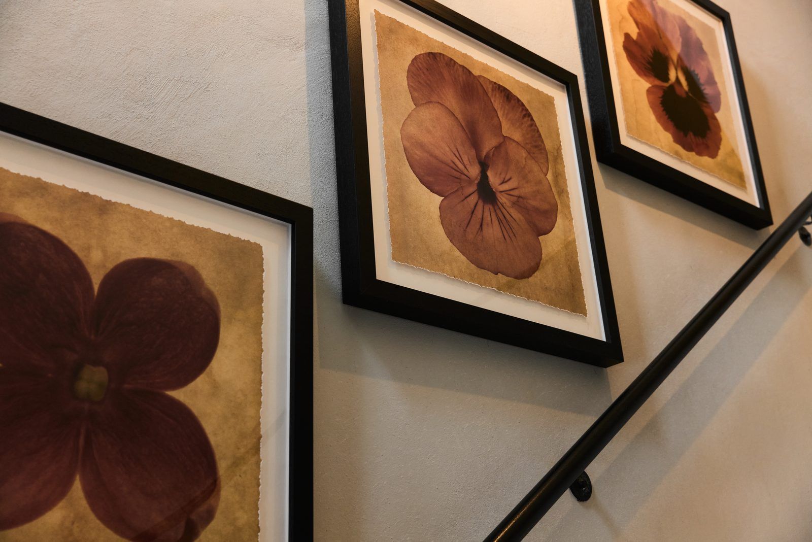 A wall with three framed botanical prints.