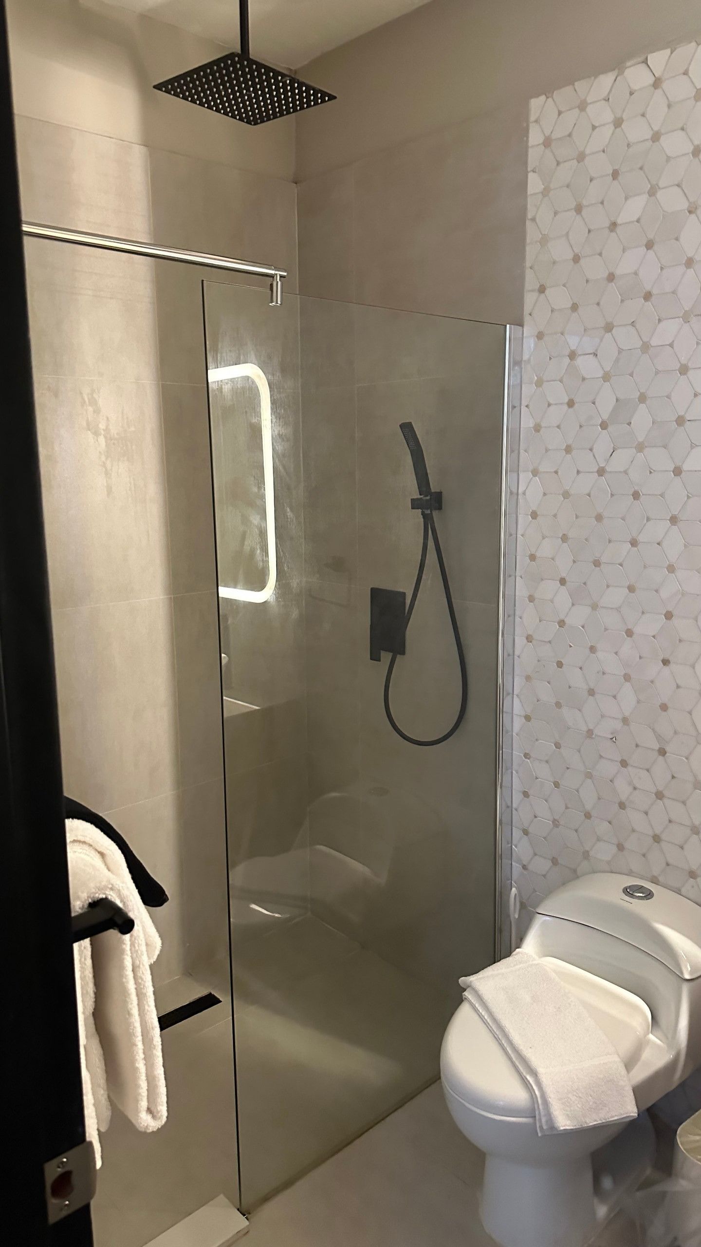 A modern bathroom with a glass-enclosed shower, a toilet, and a towel rack.
