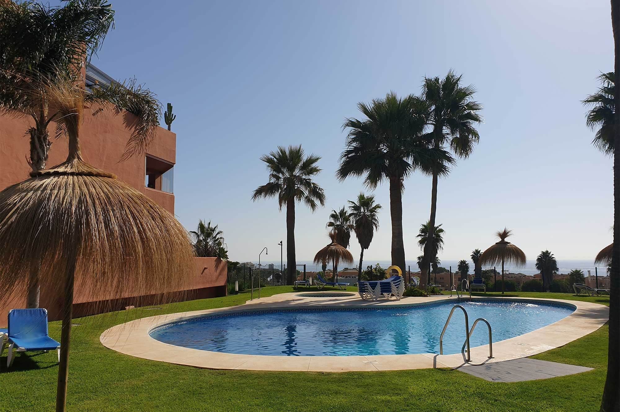 Une piscine entourée d’une pelouse, de palmiers et d’un bâtiment doté d’un toit de chaume.