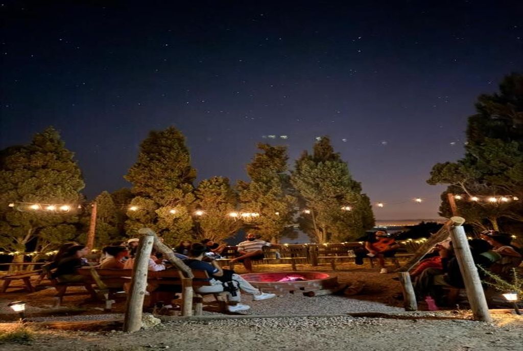 An outdoor seating area with tables and chairs, surrounded by trees and string lights.