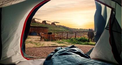 Outdoor Tent 6