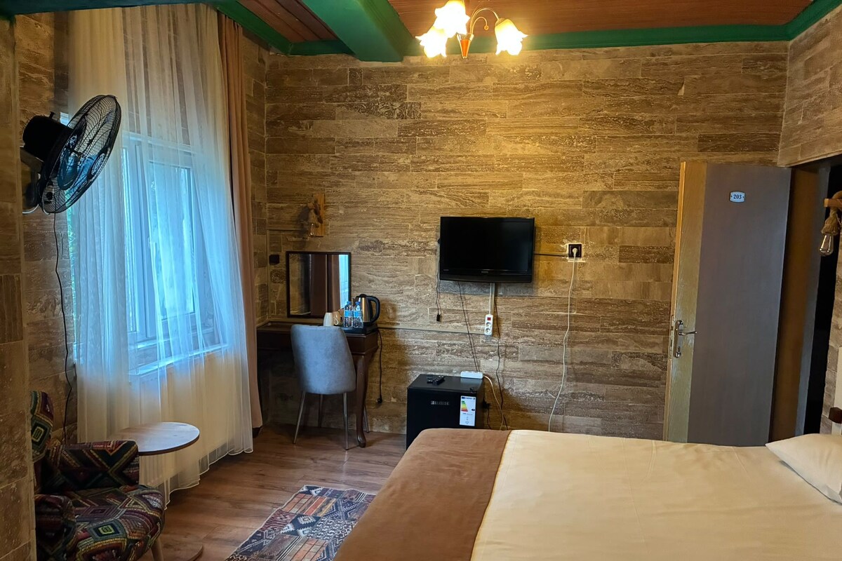 Habitació d'hotel amb llit, escriptori, cadira, televisió i ventilador.