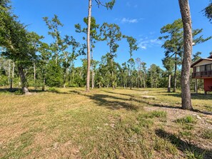A forested area with a building that has a balcony. - Peaceful Riverfront Cabin with Screened Porch & Fishing! (Live Oak)