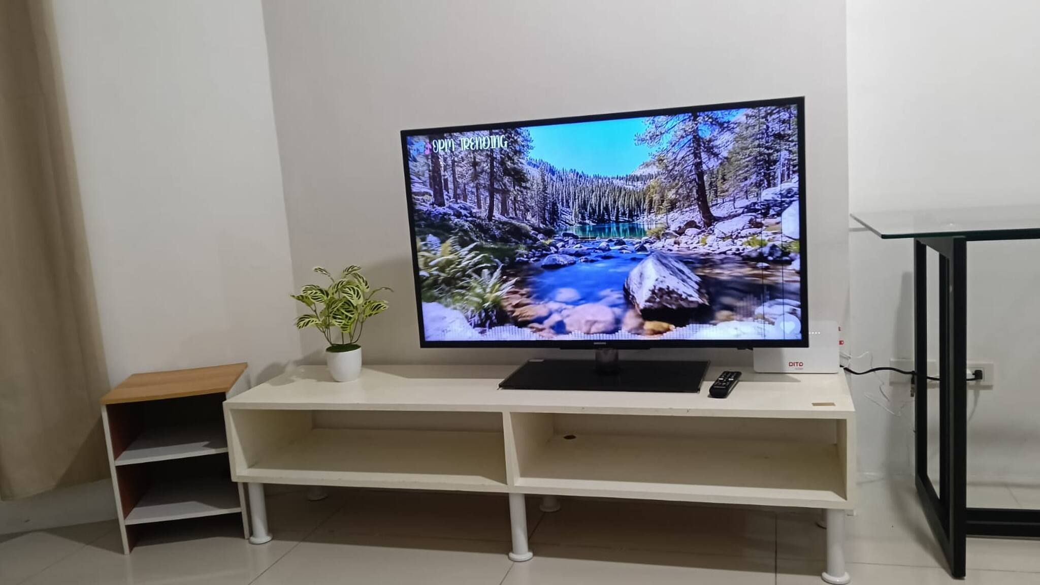Un televisor de pantalla plana sobre un mueble blanco con una planta, en una habitación con paredes blancas y piso de baldosas.